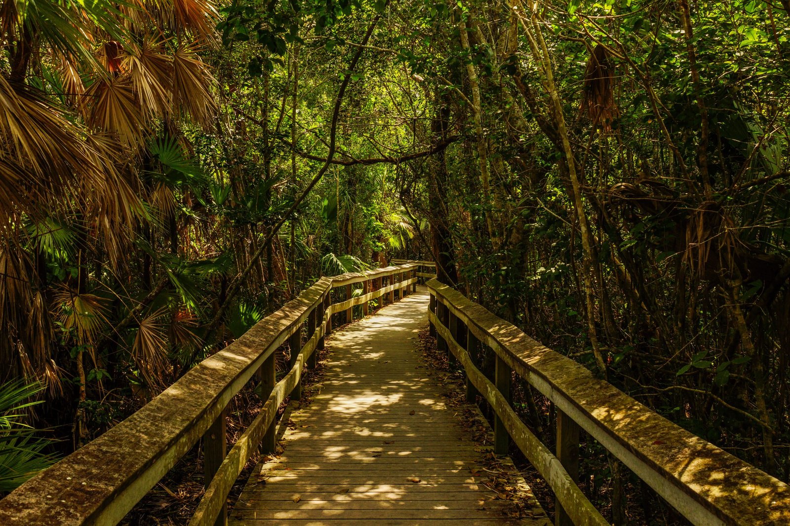 Everglades National Park