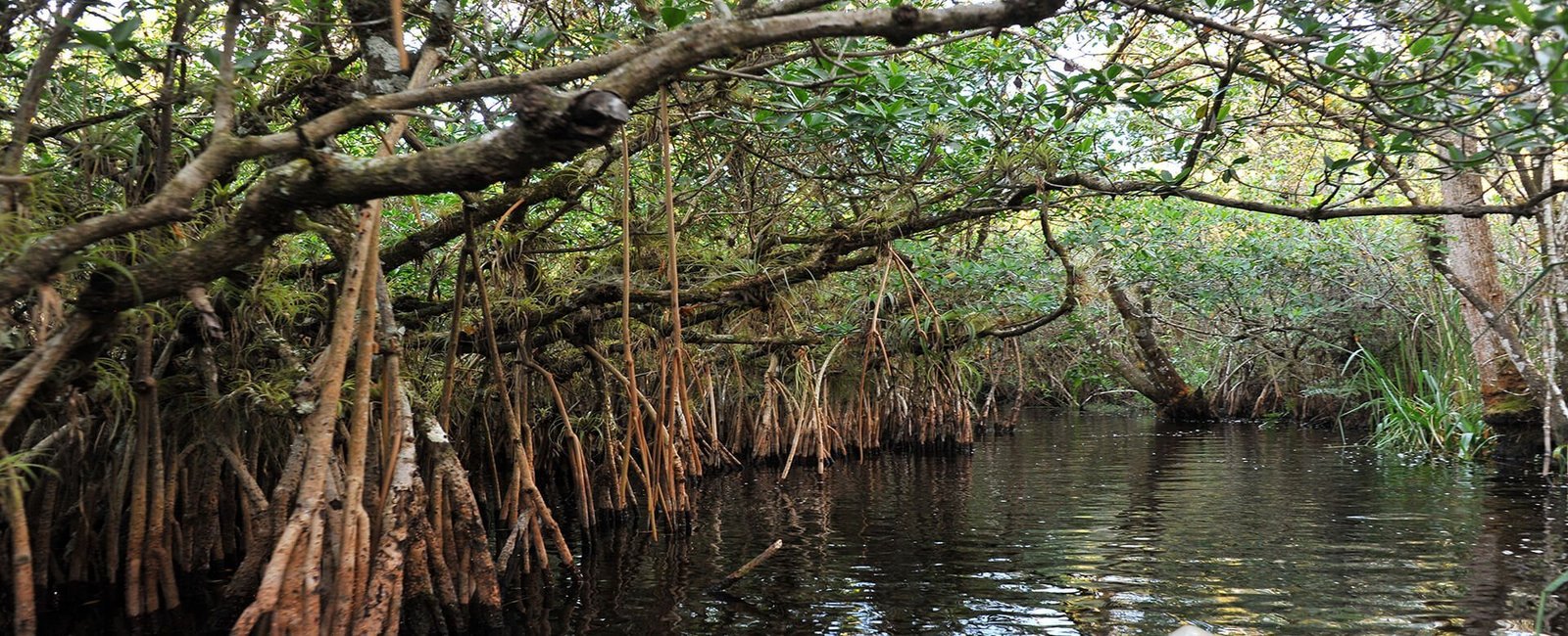 Florida National Parks