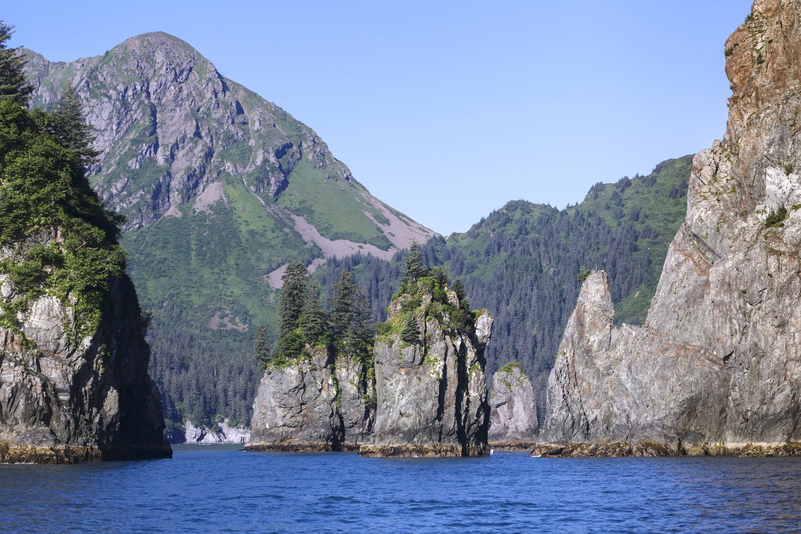 Kenai Fjords National Park