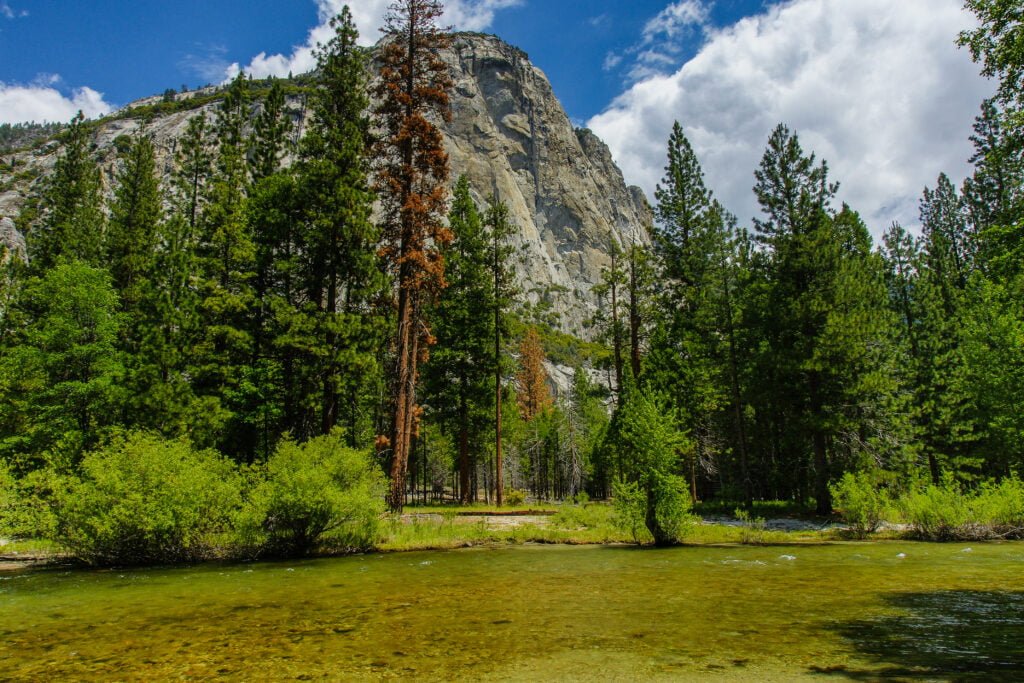 Kings Canyon National Park