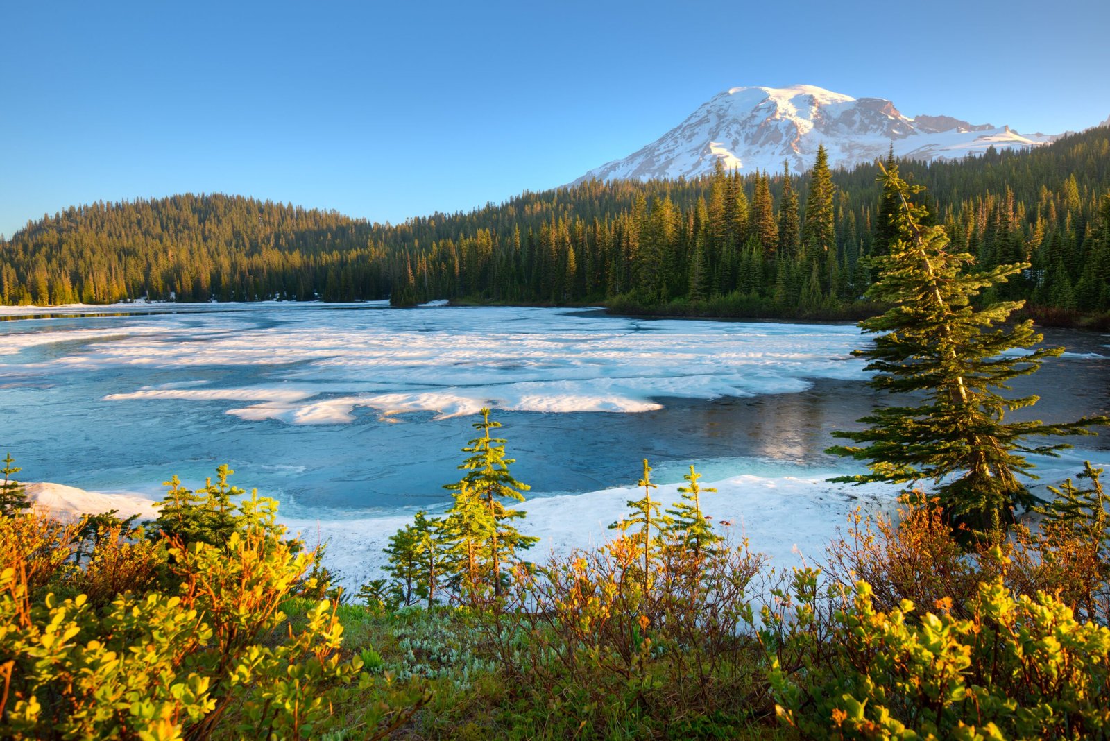 Mount Rainier National Park