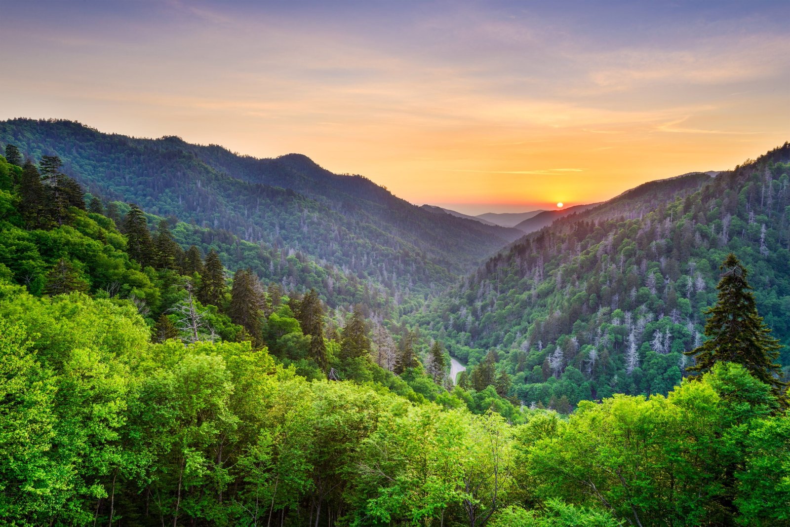 North Carolina Great Smoky Mountains National Park