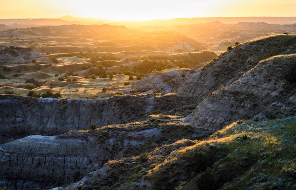 Theodore Roosevelt National Park