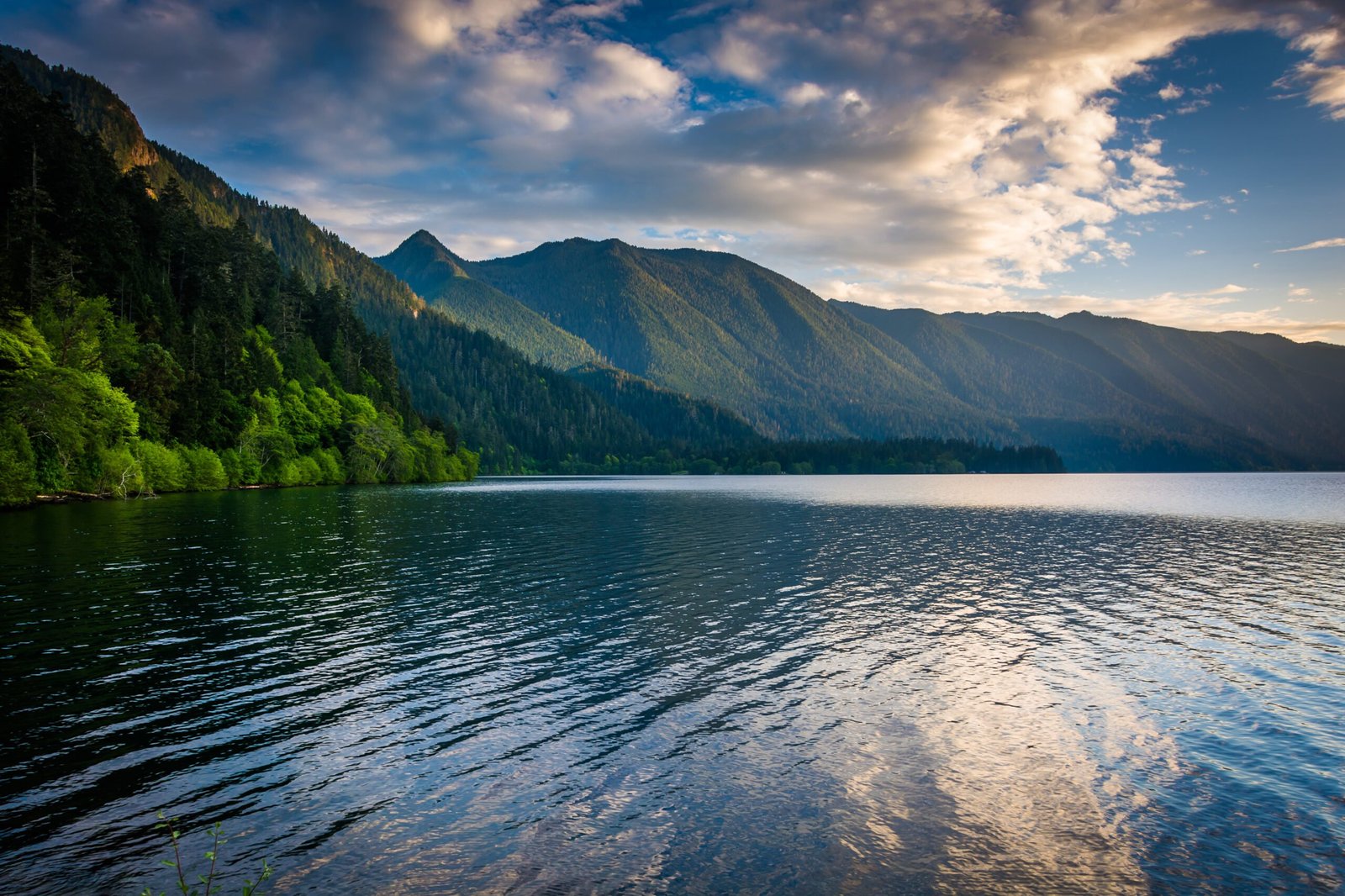 Olympic National Park