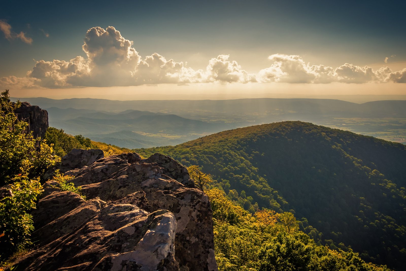 Shenandoah National Park