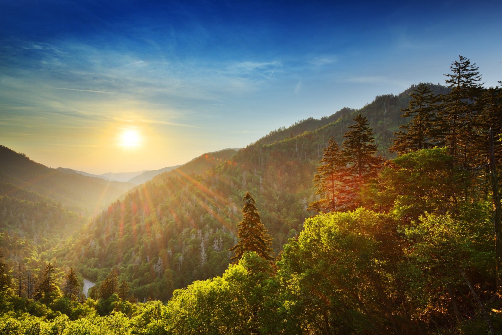 Tennessee National Parks Great Smoky Mountains National Park